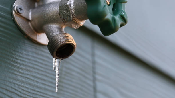 Best Residential Plumbing Services  in Bradenton, FL